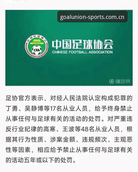 中国足协第三批禁足名单完整解读指南——从处罚细节看足球行业合规新方向